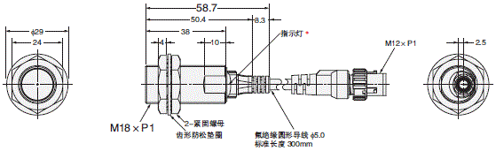 E2ER-X2D1